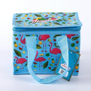 picnic lunch insulated thermal cake non woven cooler bags for lunch boxes